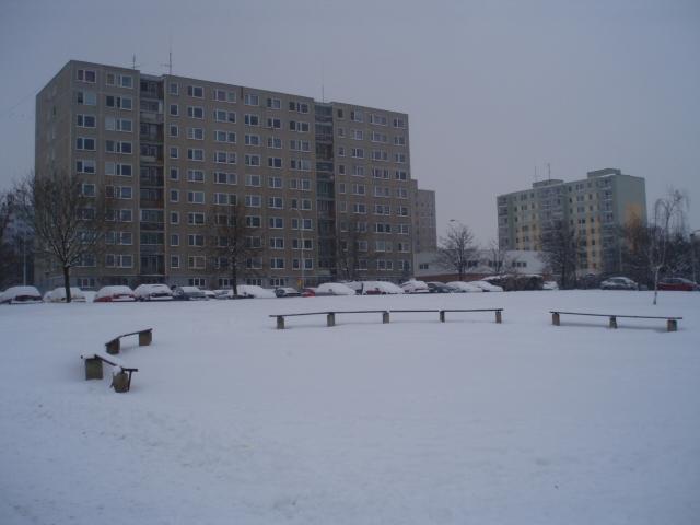 135650420